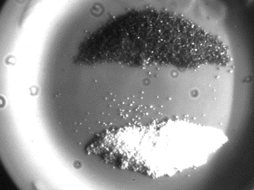 画像：近赤外線カメラ(フィルタあり)で砂糖・塩を撮影