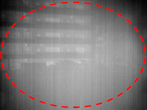 画像「ナルシサス発生映像」